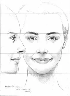 Female Face Drawing, Human Anatomy Drawing, Anatomy Art, Portraiture Drawing, Portrait Painting, Drawing Proportions, Drawing Heads