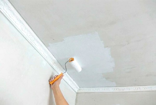 Чем покрасить потолок на кухне: видео-инструкция по окраске своими руками, какой краской лучше, фото