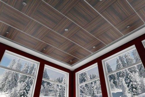 Деревянные потолки в интерьере - фото различных вариантов дизайна