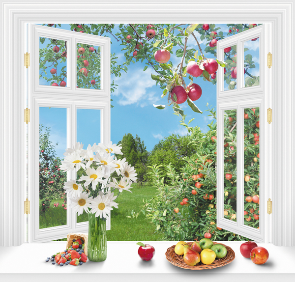 Фотообои - вид из окна на сад и другие изображения в интерьере: применение, видео и фото