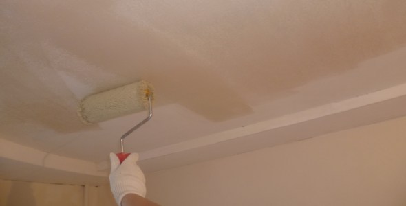 Как водоэмульсионной красить потолок правильно: чем перекрасить и наносить краску, видео и фото