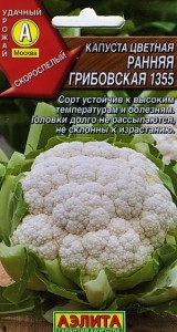 Как вырастить цветную капусту на огороде своими руками - пошаговая инструкция!