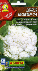 Как вырастить цветную капусту на огороде своими руками - пошаговая инструкция!