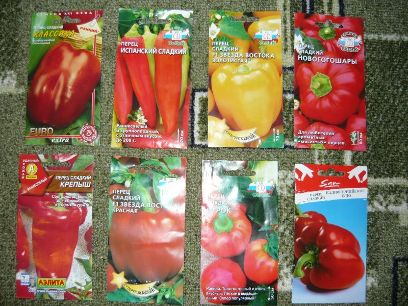 Как вырастить хорошую рассаду томатов и перца - лучшая инструкция!