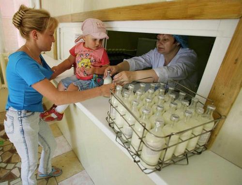 Оформить молочную кухню московская область беременная