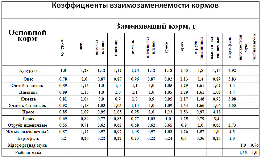 Сколько яиц несет курица несушка в месяц - подробная информация!