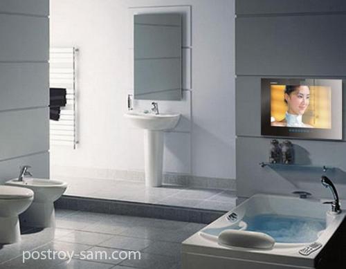 Телевизор для ванной комнаты: производители, выбор, виды