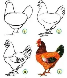 Art Drawings Simple, Drawing Sketches, Sketching, Chicken Drawing, Chicken Painting, Chicken Art