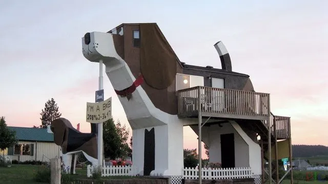 Дом-собака отеля в Айдахо