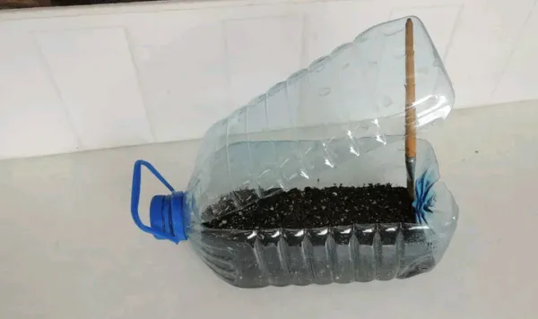 Мини парник из пластиковых бутылок