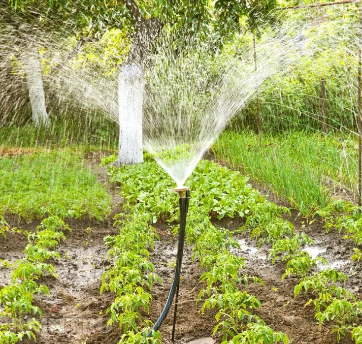 (+25 фото) Системы полива огорода своими руками