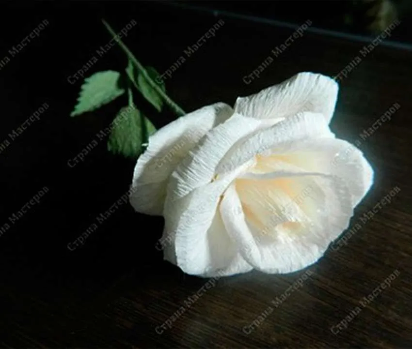 роза из гофрированной бумаги пошаговая инструкция