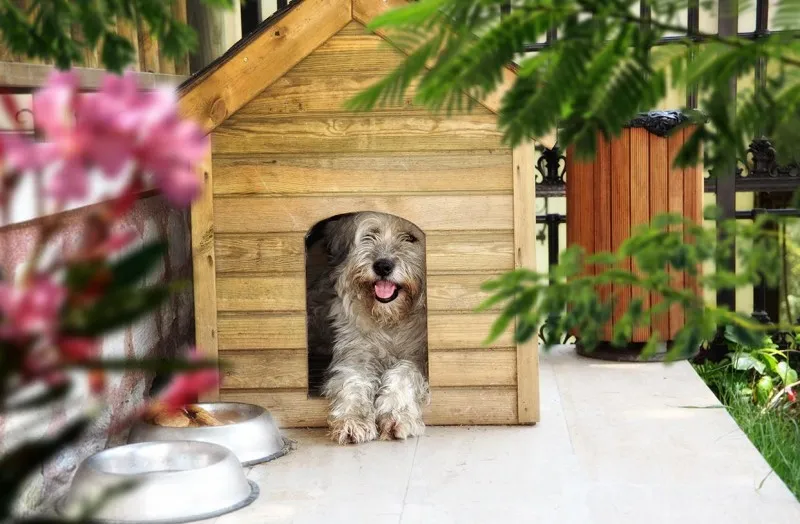 Будка для собаки деревянная