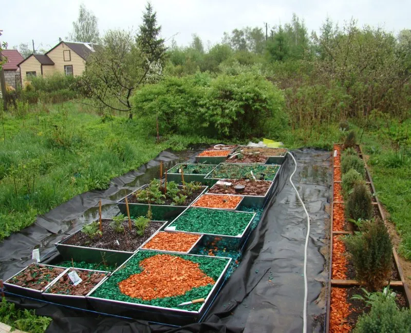 Планировка огорода на даче